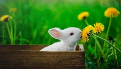 爱游戏官方网站-TES战队新阵容首次亮相，团队配合初显成效，tes战队官方产品